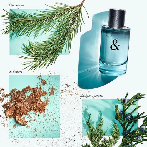 Tiffany Tiffany Love for Him Eau De Toilette