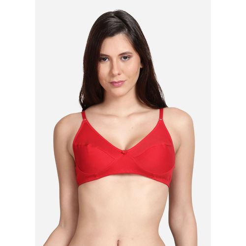 Buy Shyaway Shyle Non Padded Seamed Everyday Bra Multicolor (Pack of 2)  Online