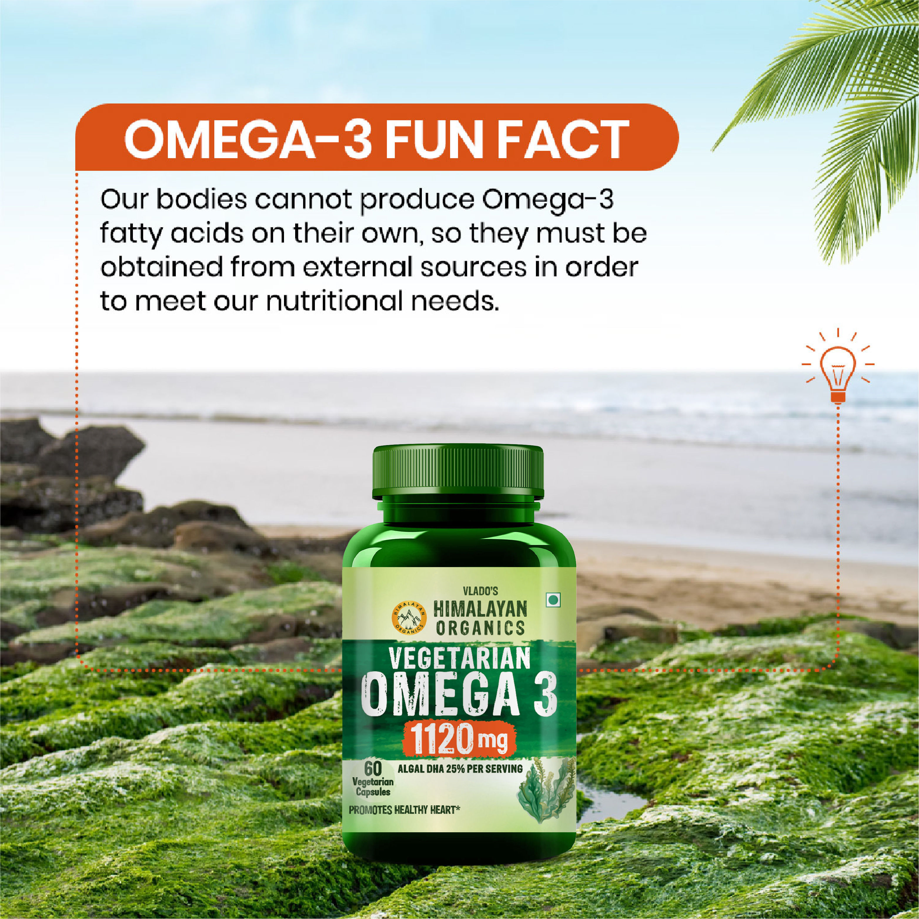 product image10