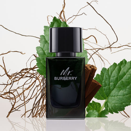 Burberry Mr. Burberry Eau De Parfum: Buy Burberry Mr. Burberry Eau De Parfum  Online at Best Price in India | Nykaa