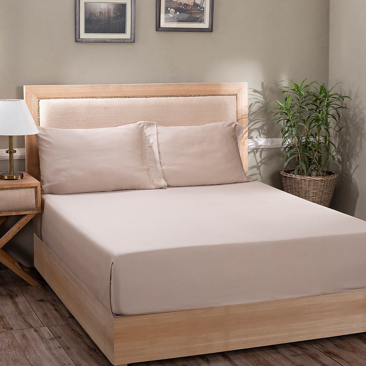 Maspar Vintage Mellow 400Tc Excel Neutral Solid King Bed Sheet With 2