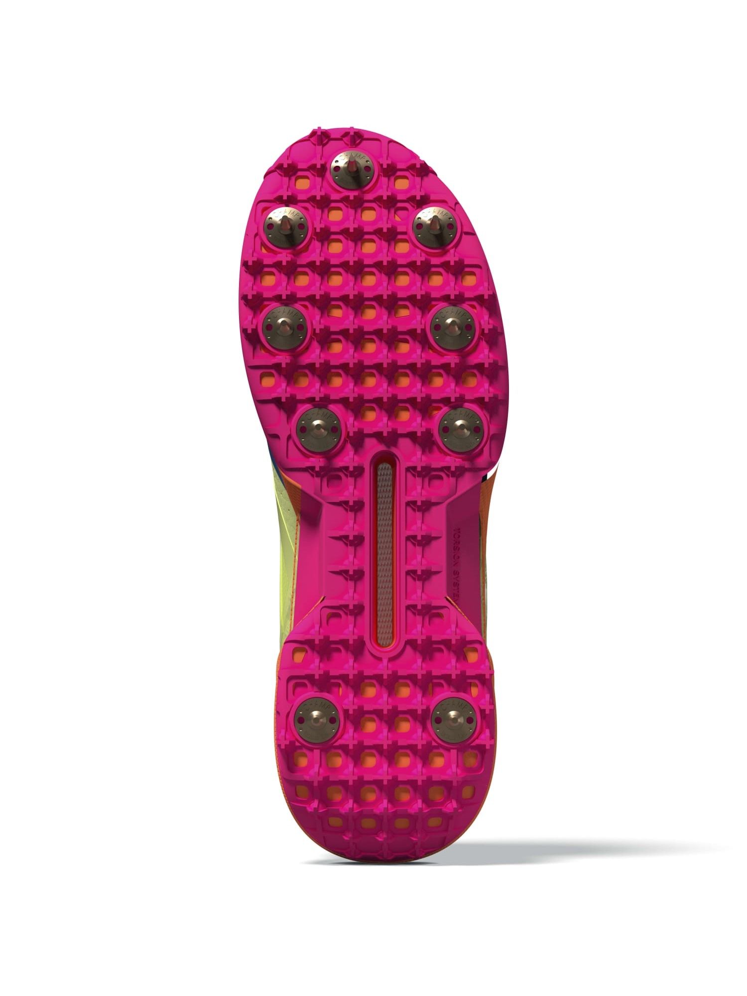 onion2‼️ Buy Sarpan SO 22 Hybrid Onion Seeds Online | Hybrid Commercial Red