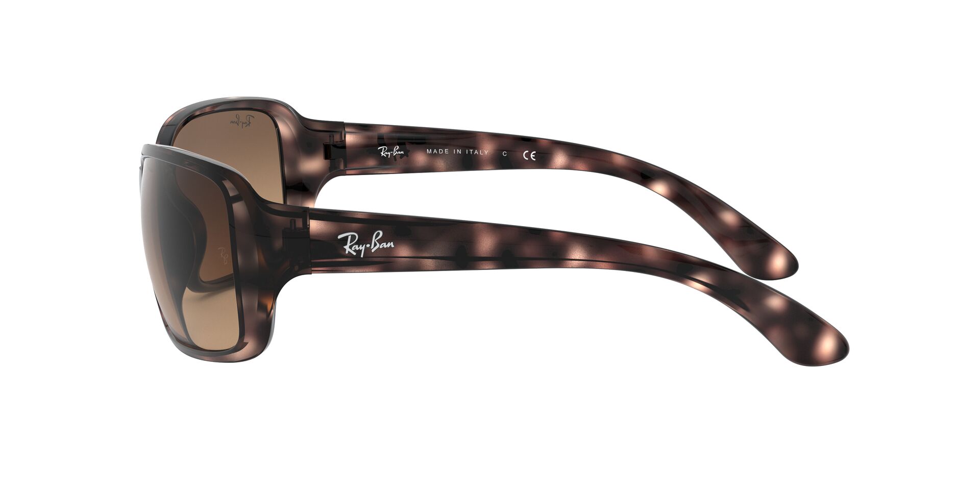 Ray-Ban 0RB4068 Sunglasses
