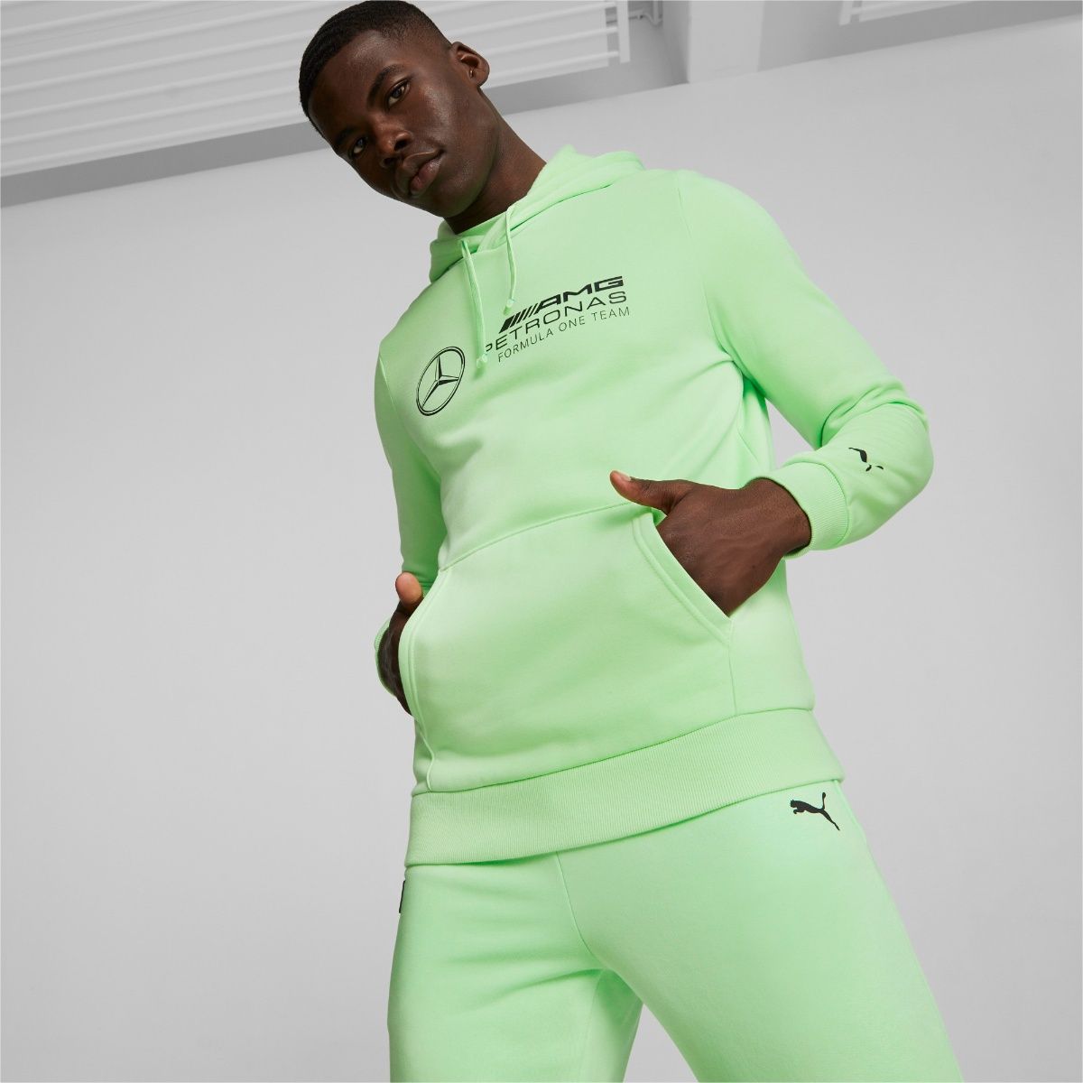 Buy Puma Mercedes AMG Petronas Motorsports F1 ESS Fleece Men Green