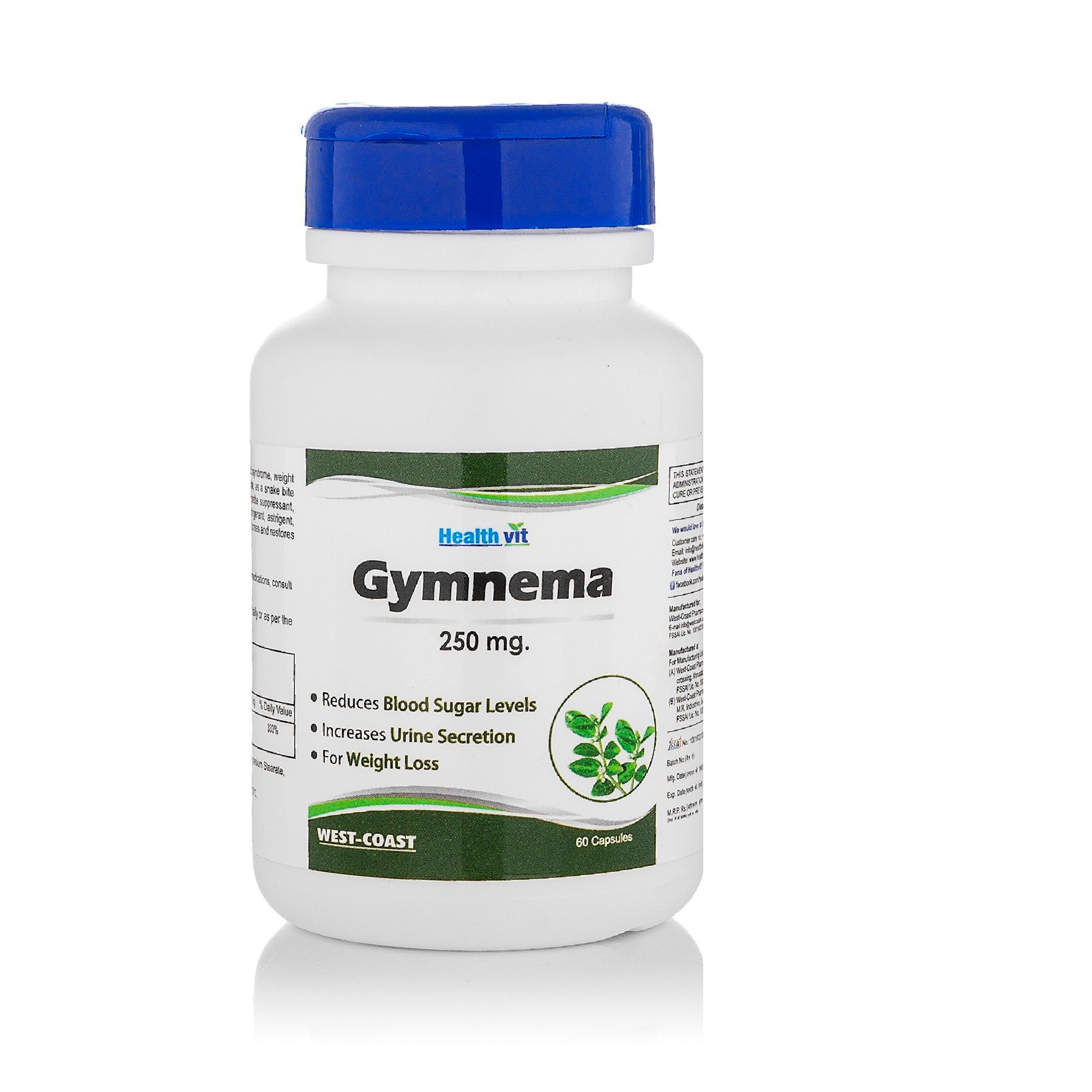 HealthVit GYMNEMA 250mg Capsules (Pack Of 2)