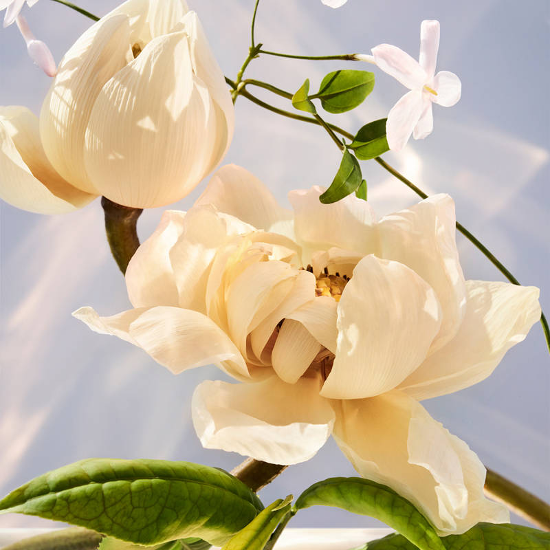 BVLGARI Omnia Crystalline Eau De Parfum - view 21