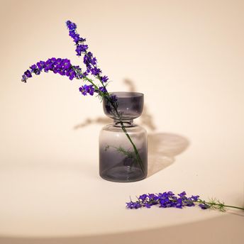 product-image-lens
