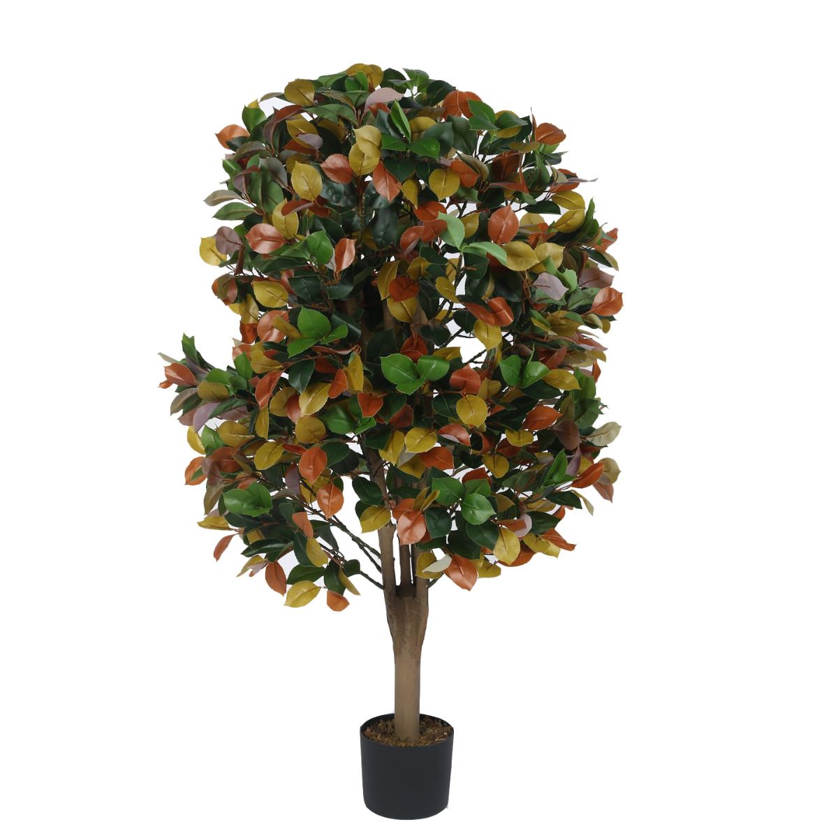 product image2