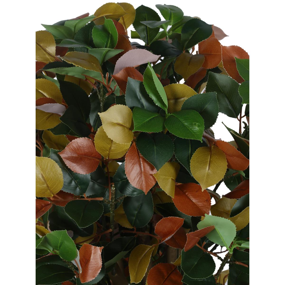 product image3