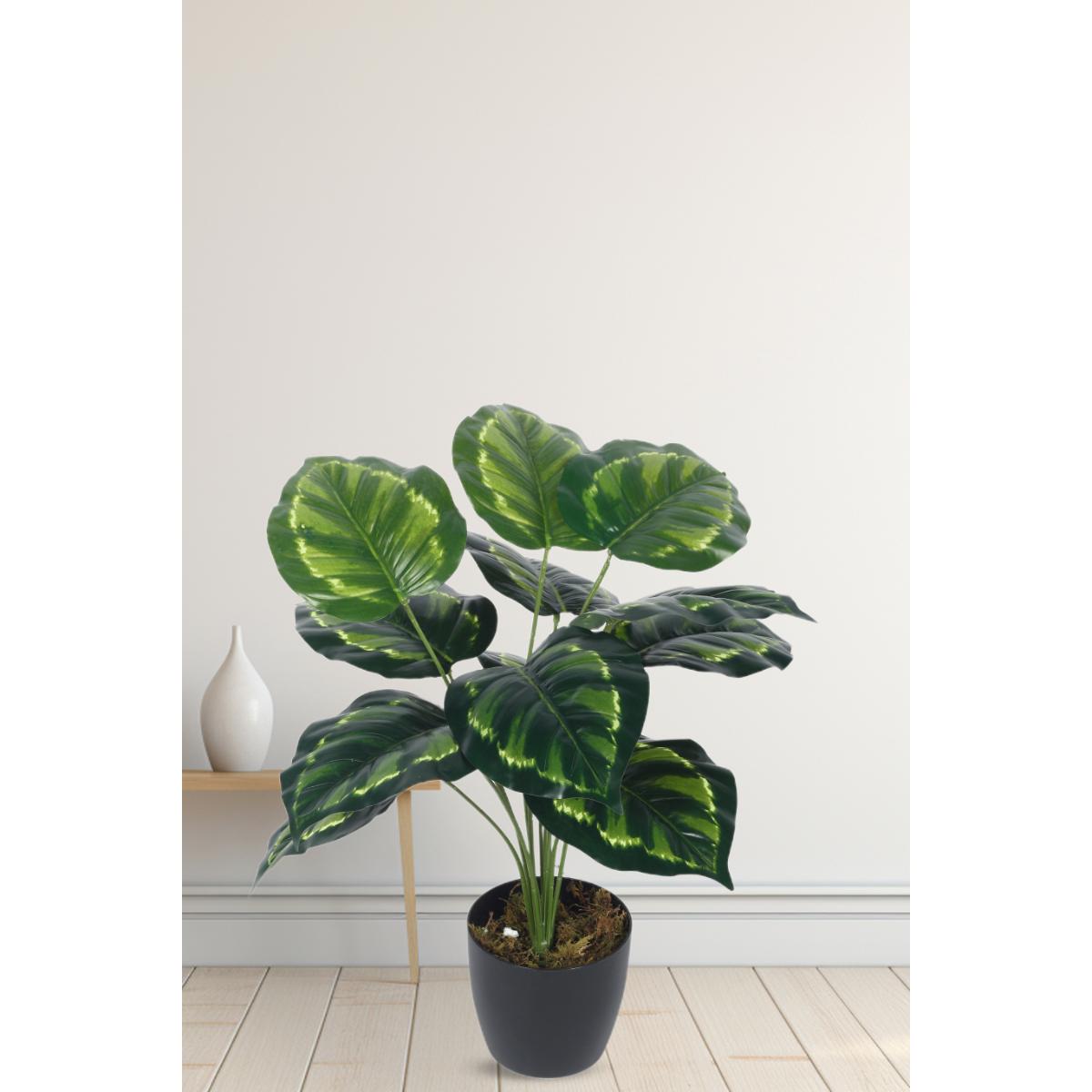 Buy Home Bloom Artificial PVC Big Leaves Plants for Indoor Outdoor with