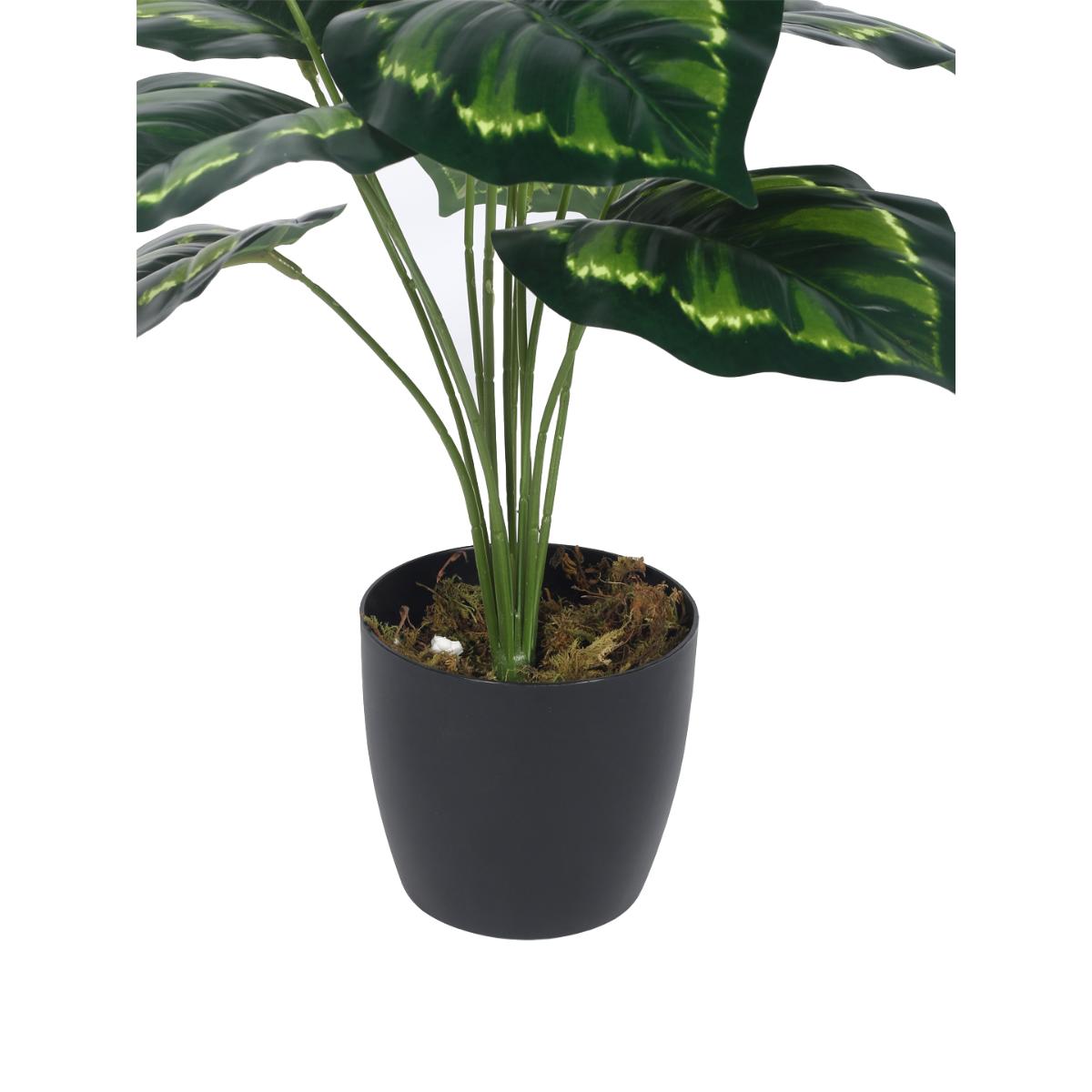 Buy Home Bloom Artificial PVC Big Leaves Plants for Indoor Outdoor with