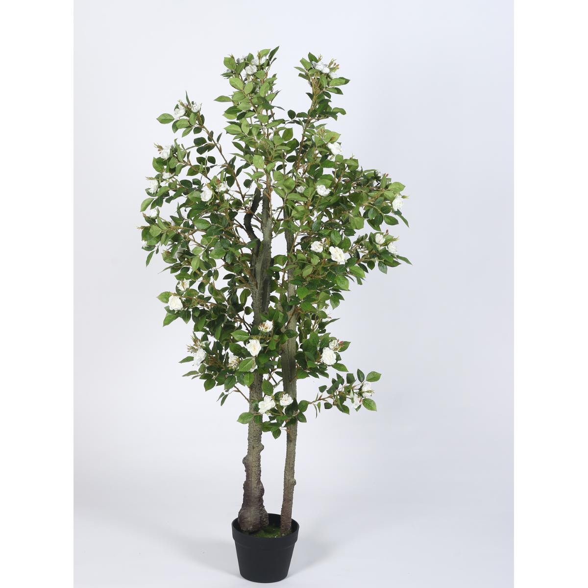 Buy Home Bloom Artificial Mini Camellia Rose Plants Online