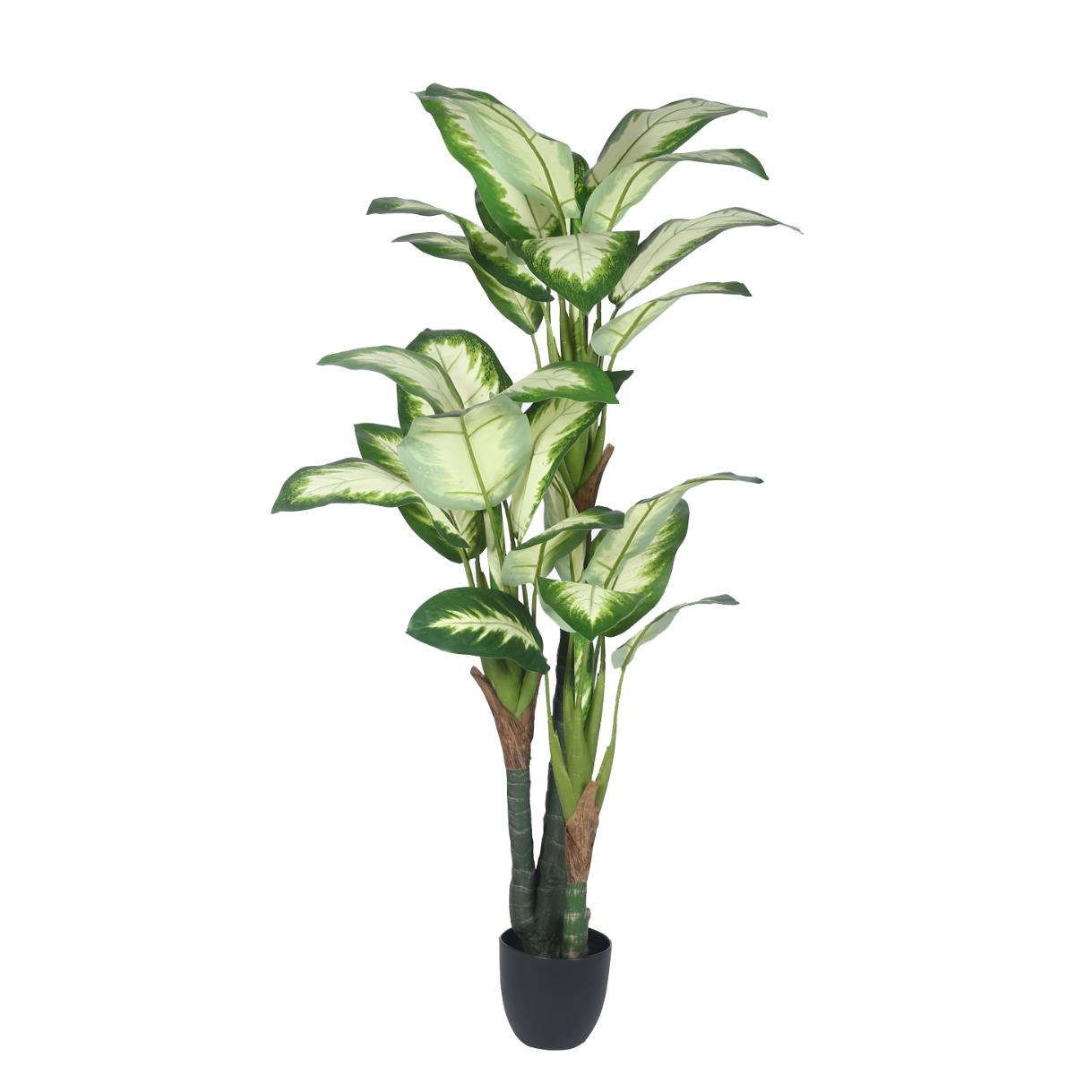Buy Home Bloom Decoration Artificial Variegated Dieffenbachia Plants Online