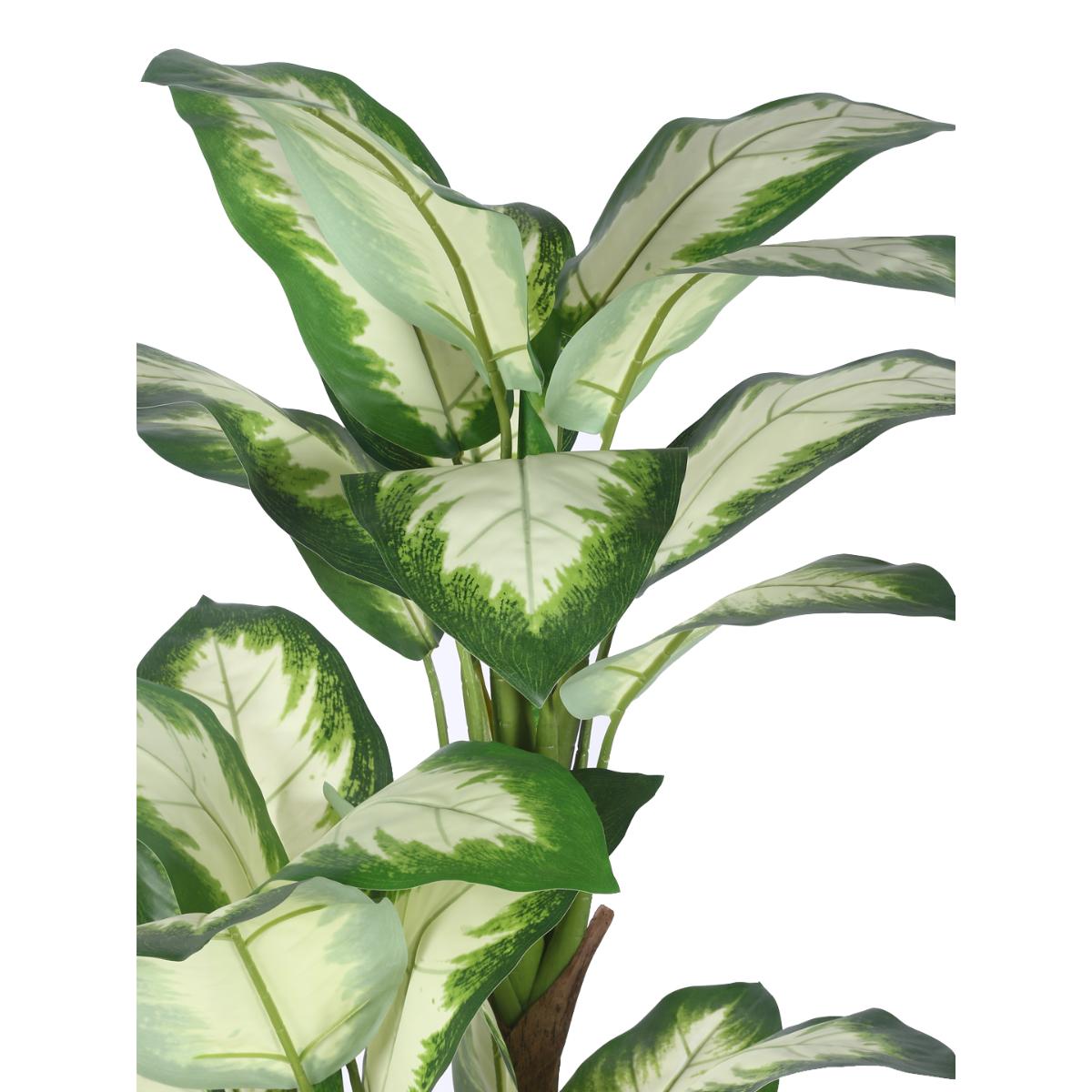 Buy Home Bloom Decoration Artificial Variegated Dieffenbachia Plants Online