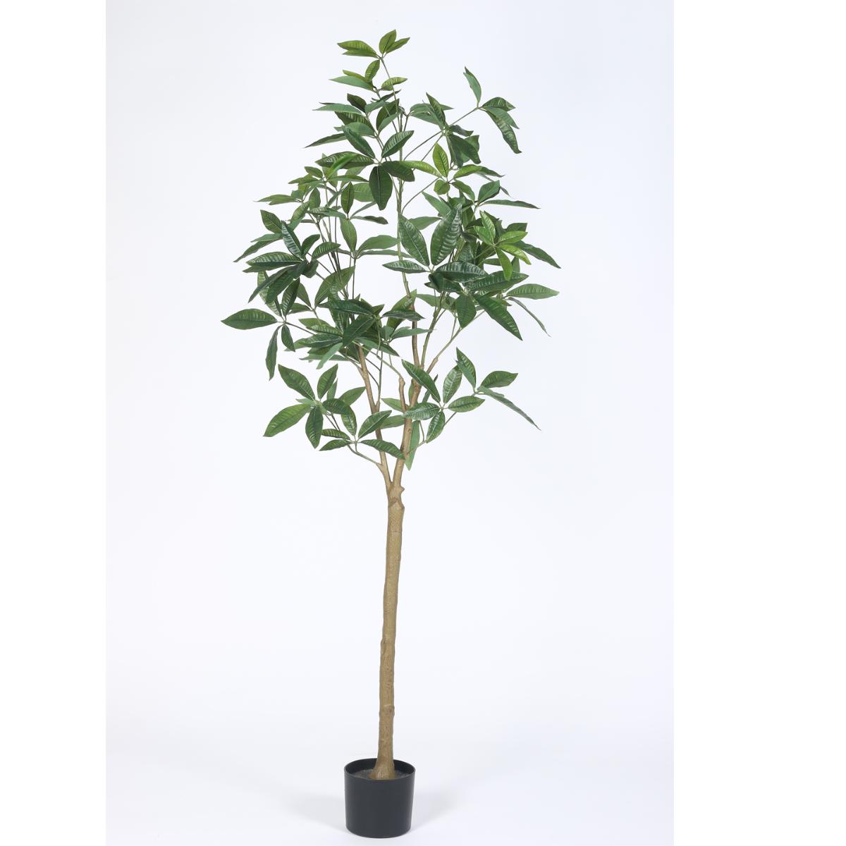 Buy Home Bloom Decoration Artificial Pachira Plants Online