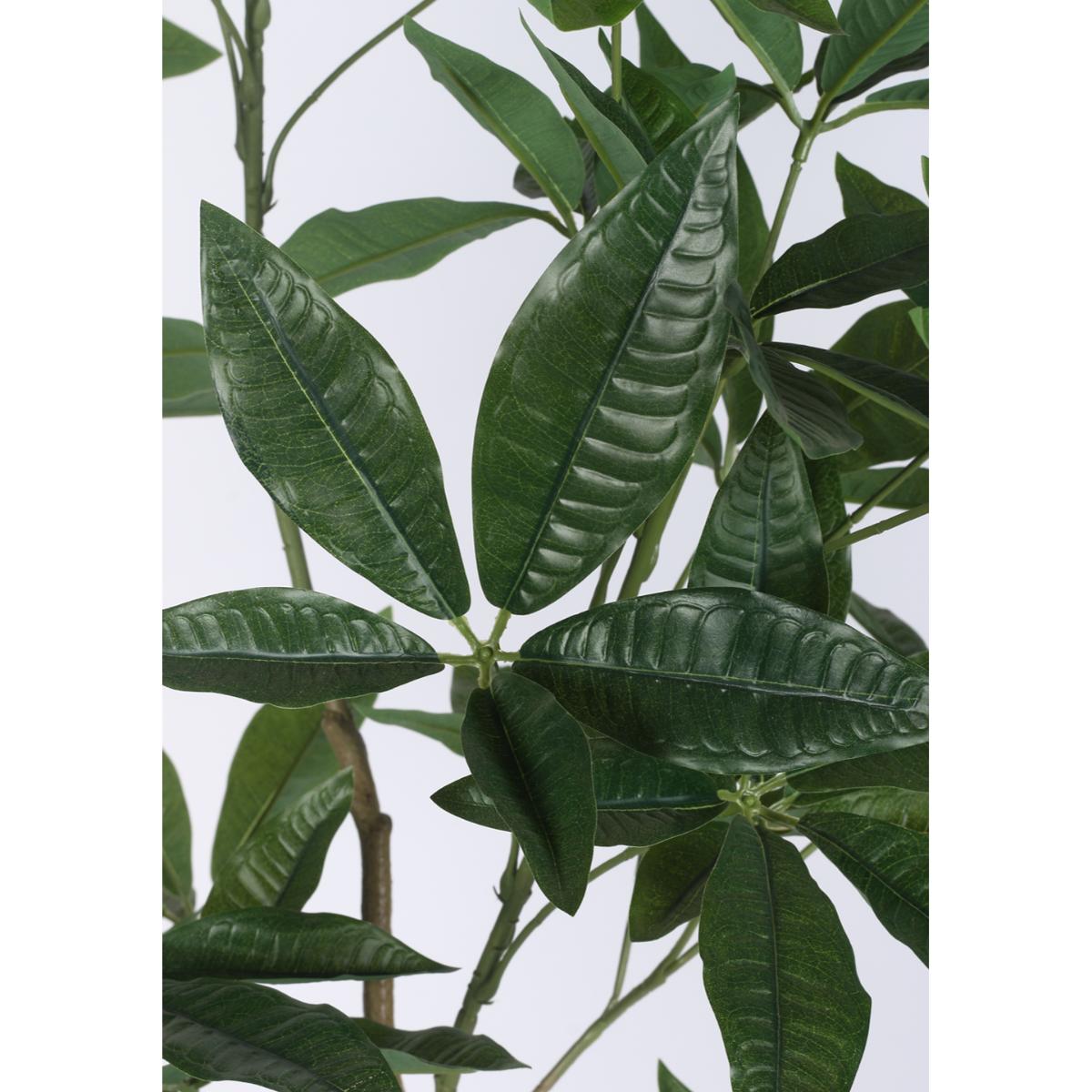 Buy Home Bloom Decoration Artificial Pachira Plants Online