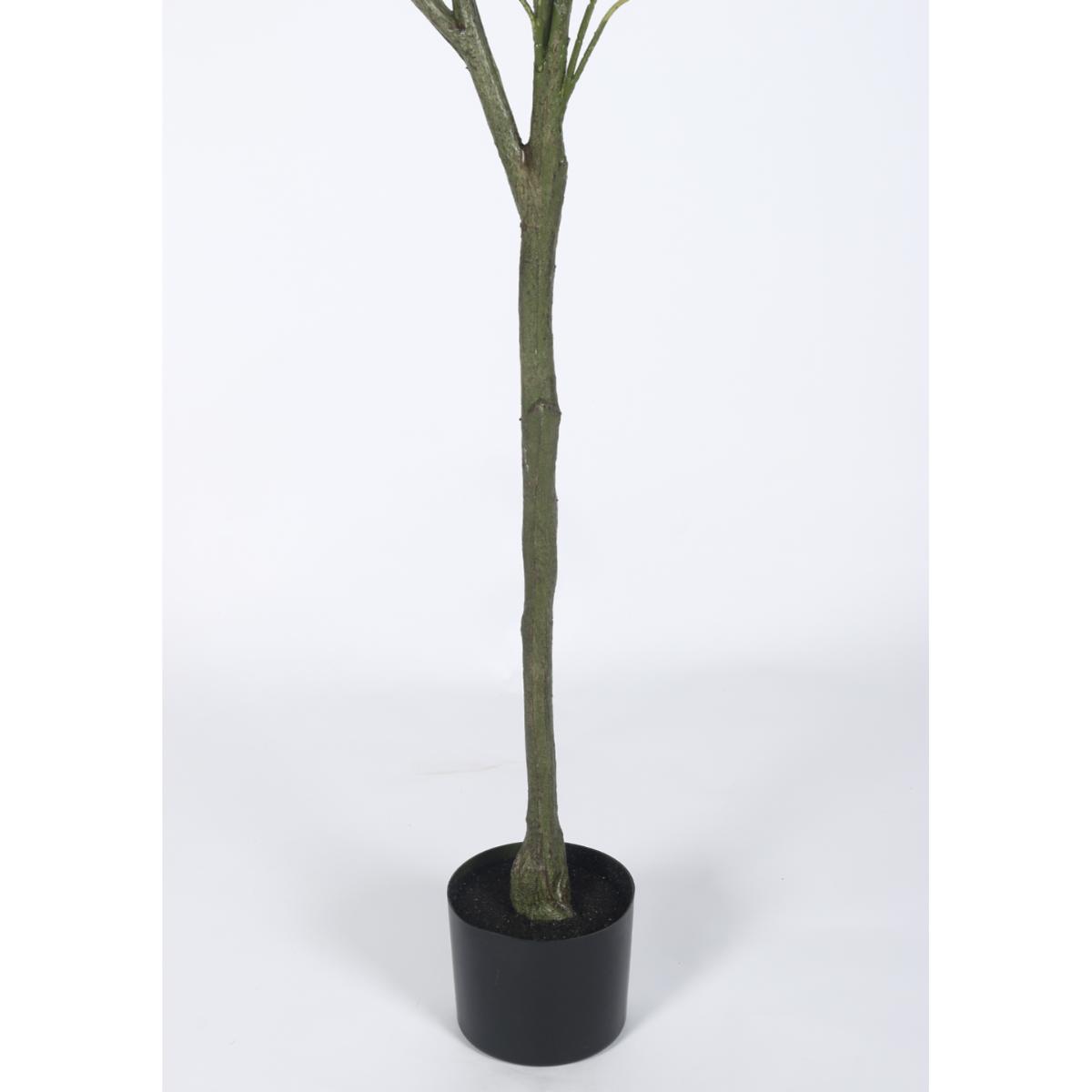 Buy Home Bloom Decoration Artificial Olive Plants Home Decor Online