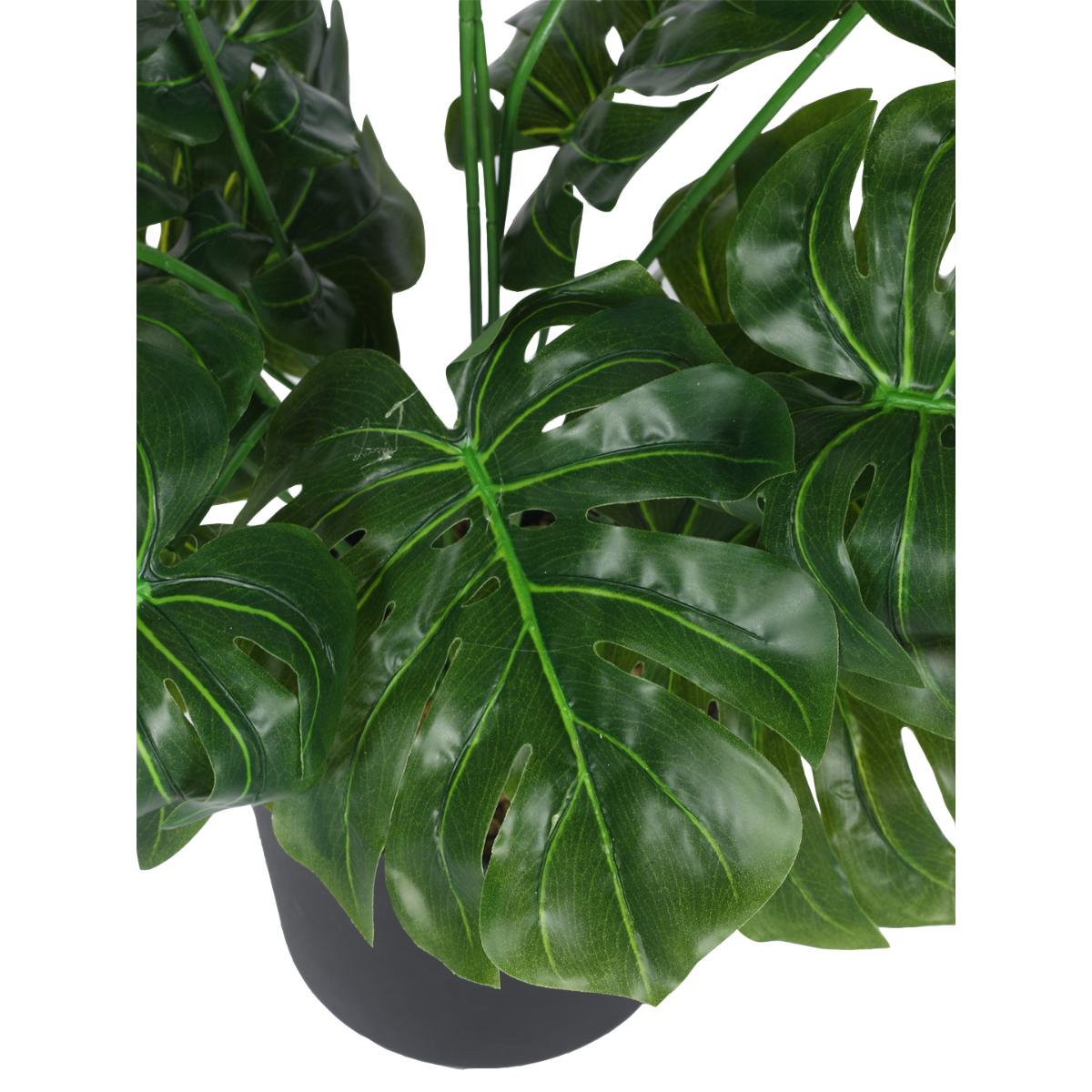 Buy Home Bloom Artificial Monstera Plants for Indoor & Outdoor with Pot