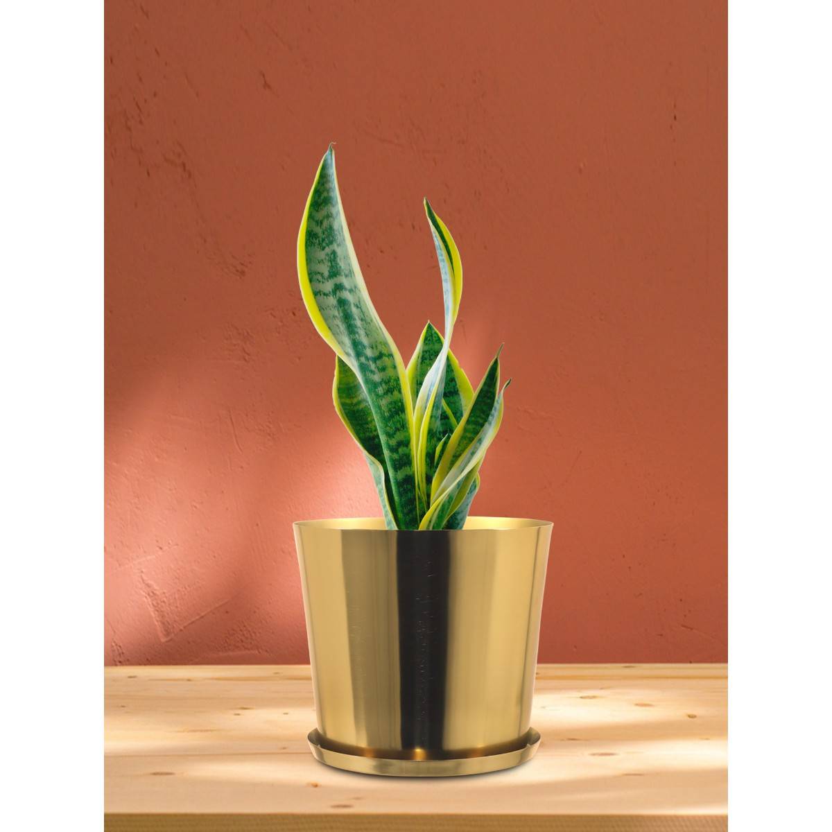 Metalsmith Gold Planter For Indoor and Outdoor Plants & Flowers Plant Container Set