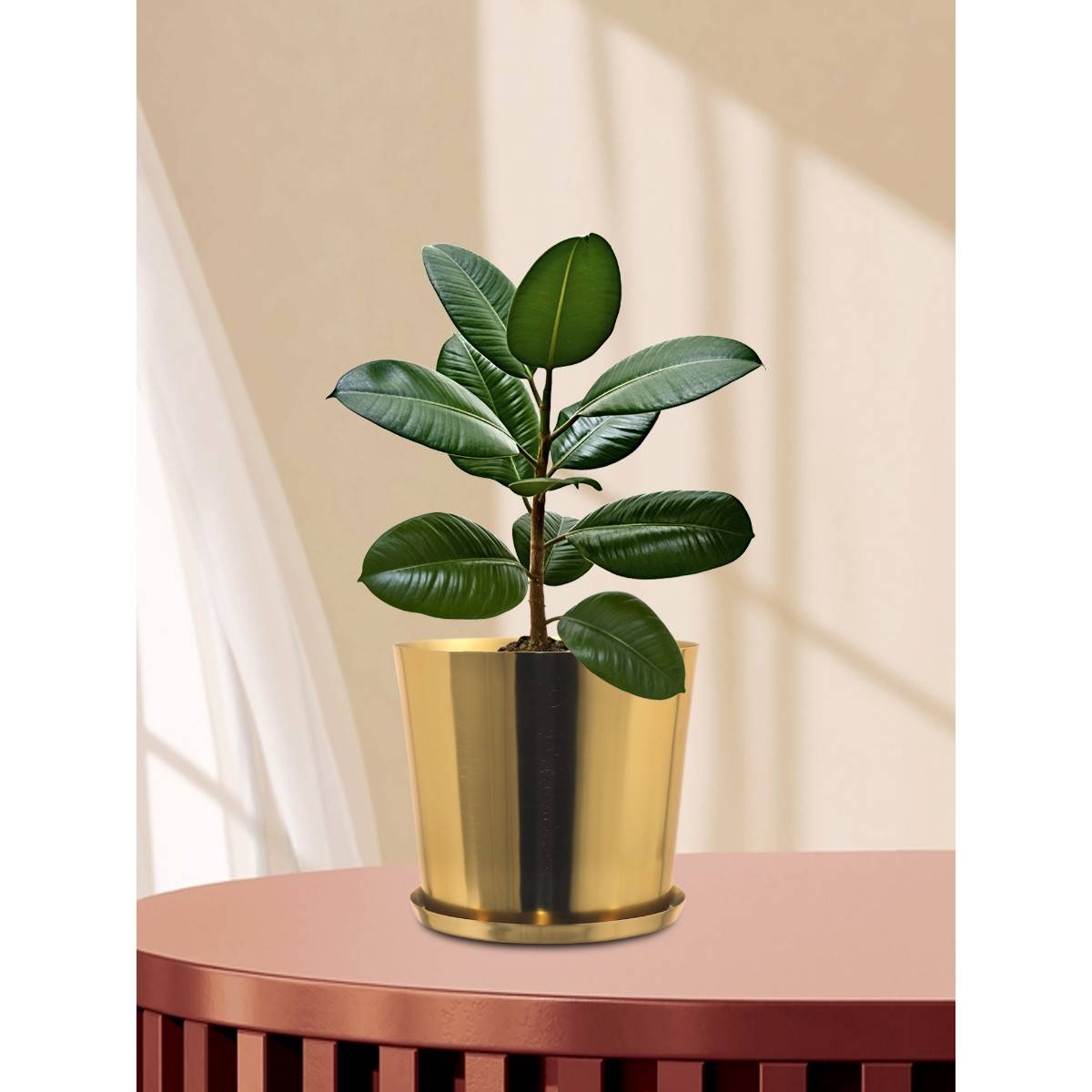 Metalsmith Gold Planter For Indoor and Outdoor Plants & Flowers Plant Container Set