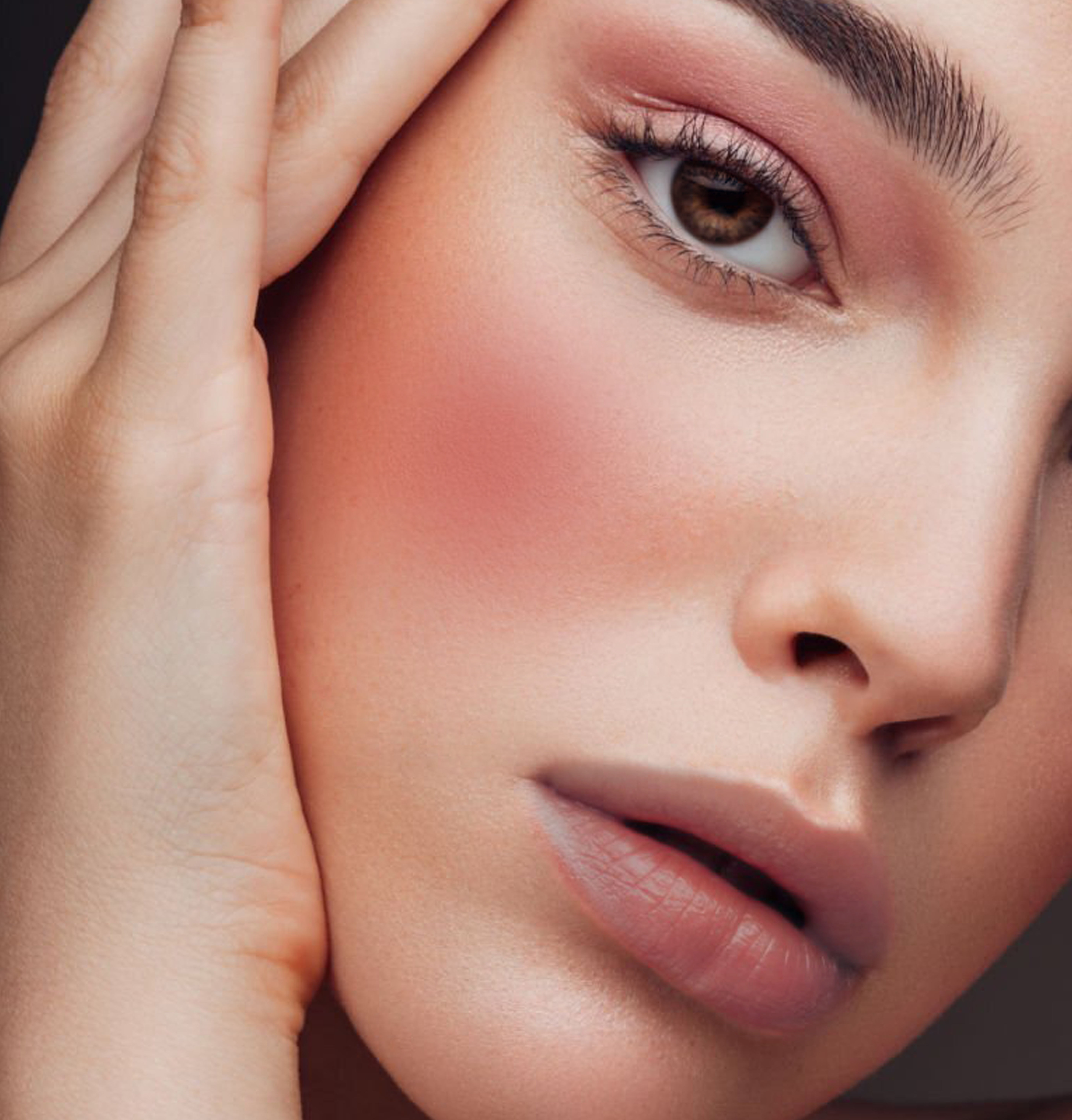 Just Herbs Lip & Cheek Tint and Blush for Eyelids, Cheeks & Lips Buy