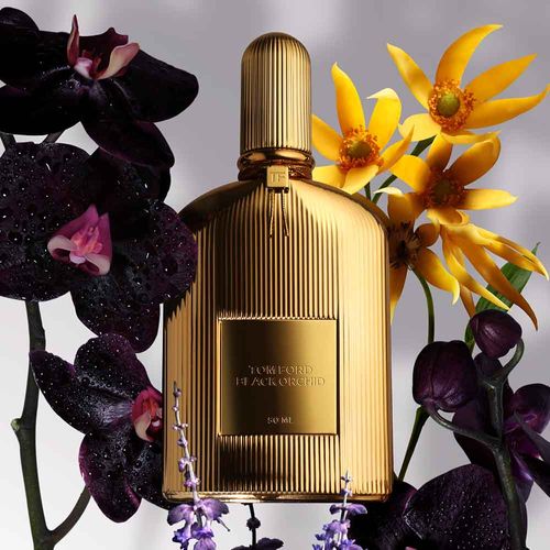 Tom Ford Black Orchid Gold: Buy Tom Ford Black Orchid Gold Online at Best  Price in India | Nykaa