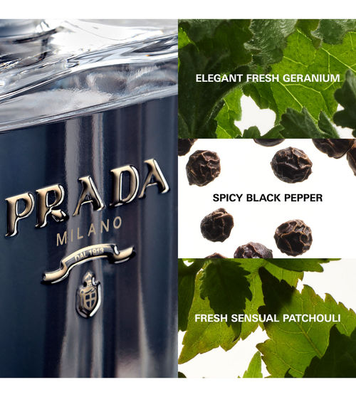 Buy PRADA L'Homme Eau De Toilette For Him Online