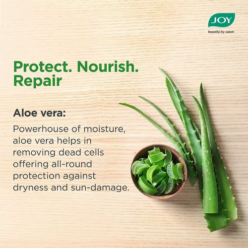 Buy Joy Pure Aloe Vera Light Moisturizer Skin Cream for Face & Body For 48  Hrs Moisturization Online