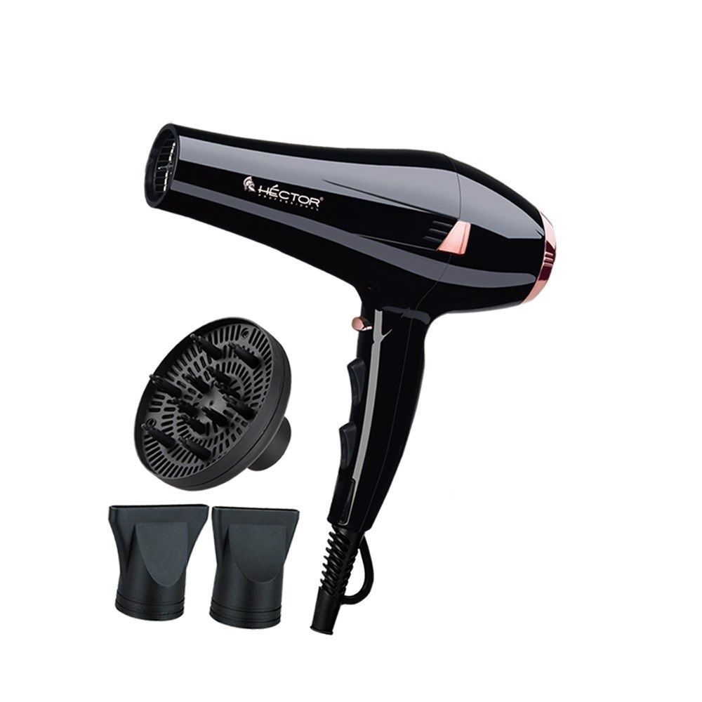 Dan Technology Travel Hair Dryer,Compact Hair Dryer,Portable Mini Blow Dryer  with Concentrator&Diffuser,European Hair