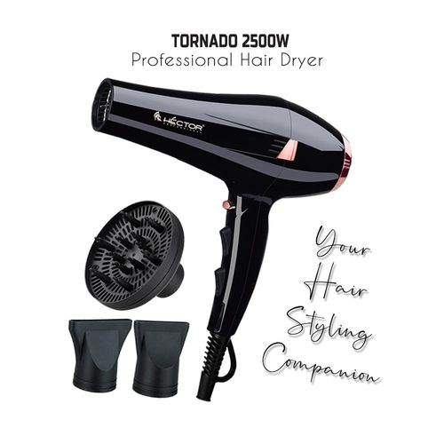 Hector Professional 2500 Watt Tornado Hair Dryer For Men And Women Beast  Black
