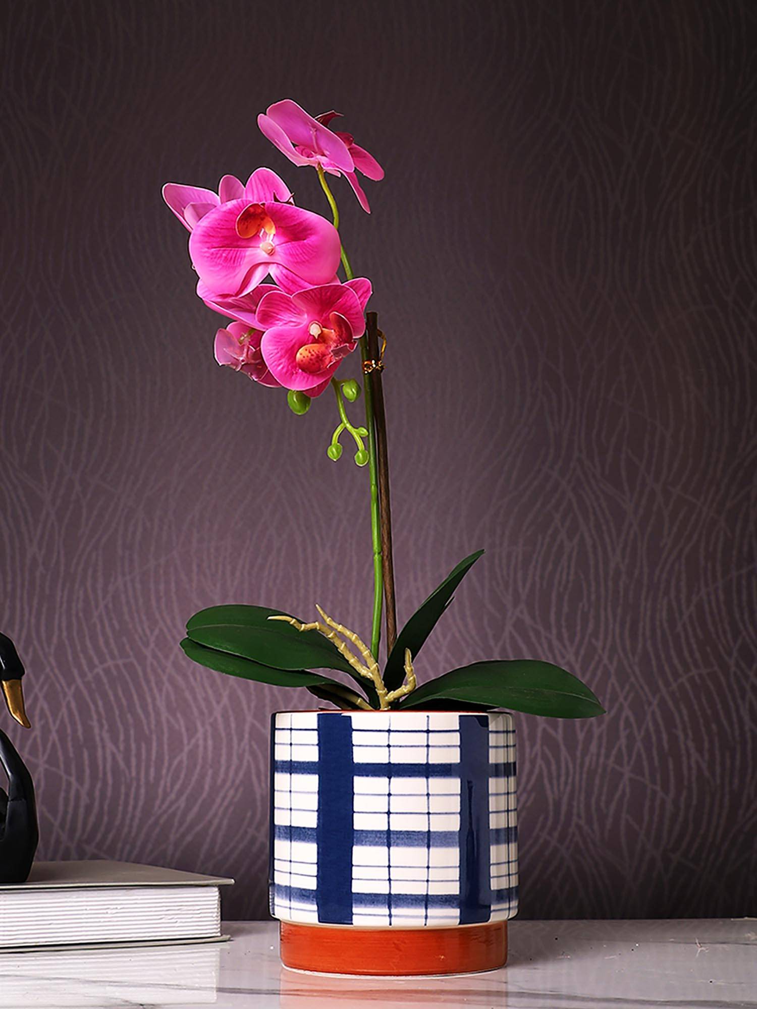 Tayhaa Navy Blue Checkered Charm Planter