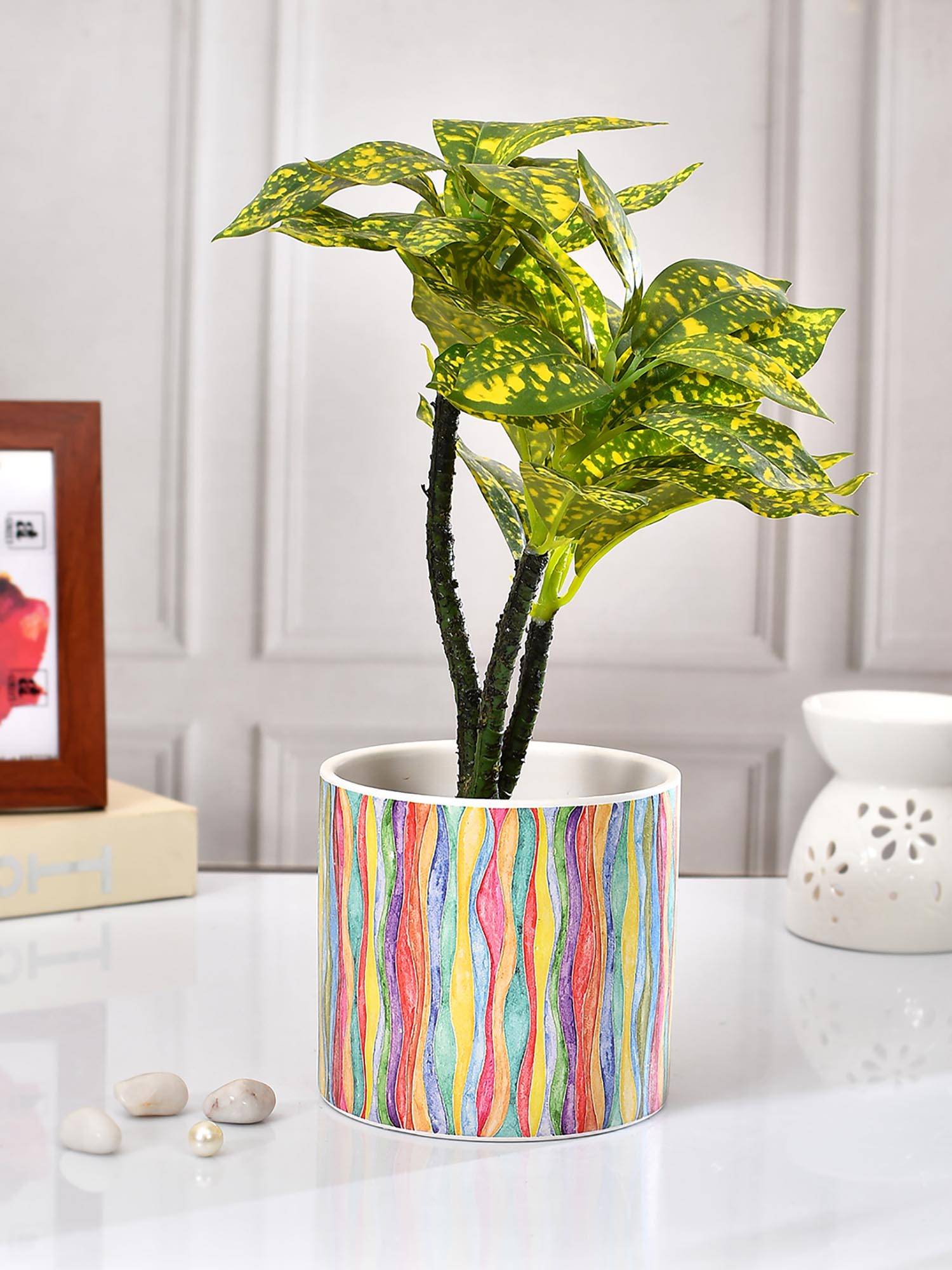 product image1