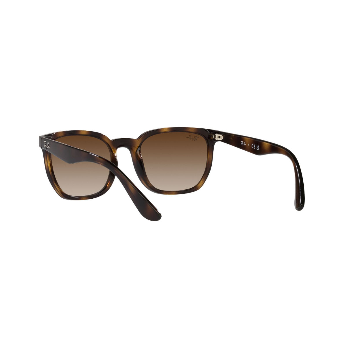 Vogue Vo5333s Dark Havana Sunglasses | RvceShops | Moscot Kitzel Sunglasses  vogue eyewear tinted oversize sunglasses item