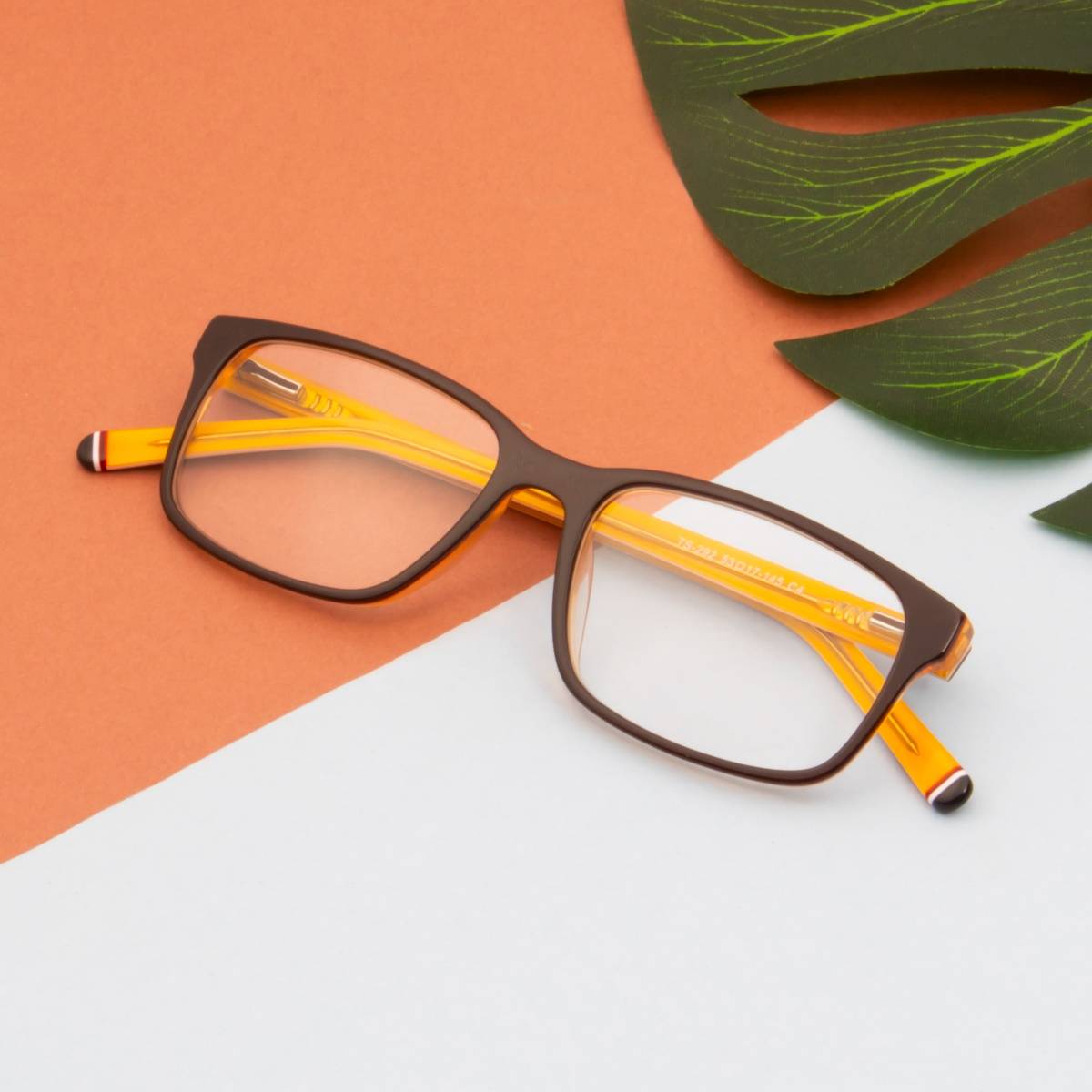 TED SMITH Unisex Full Rim Wayfarer Frames Brown