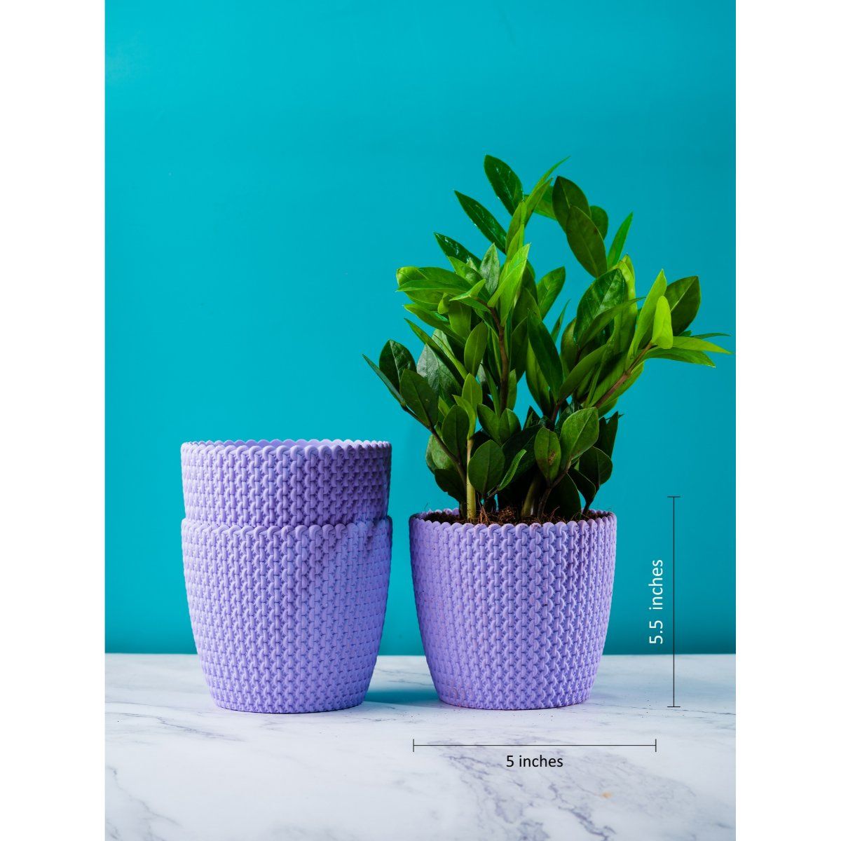 Buy Nurturing Green Combo of 3 Plastic Fibre Planters Online