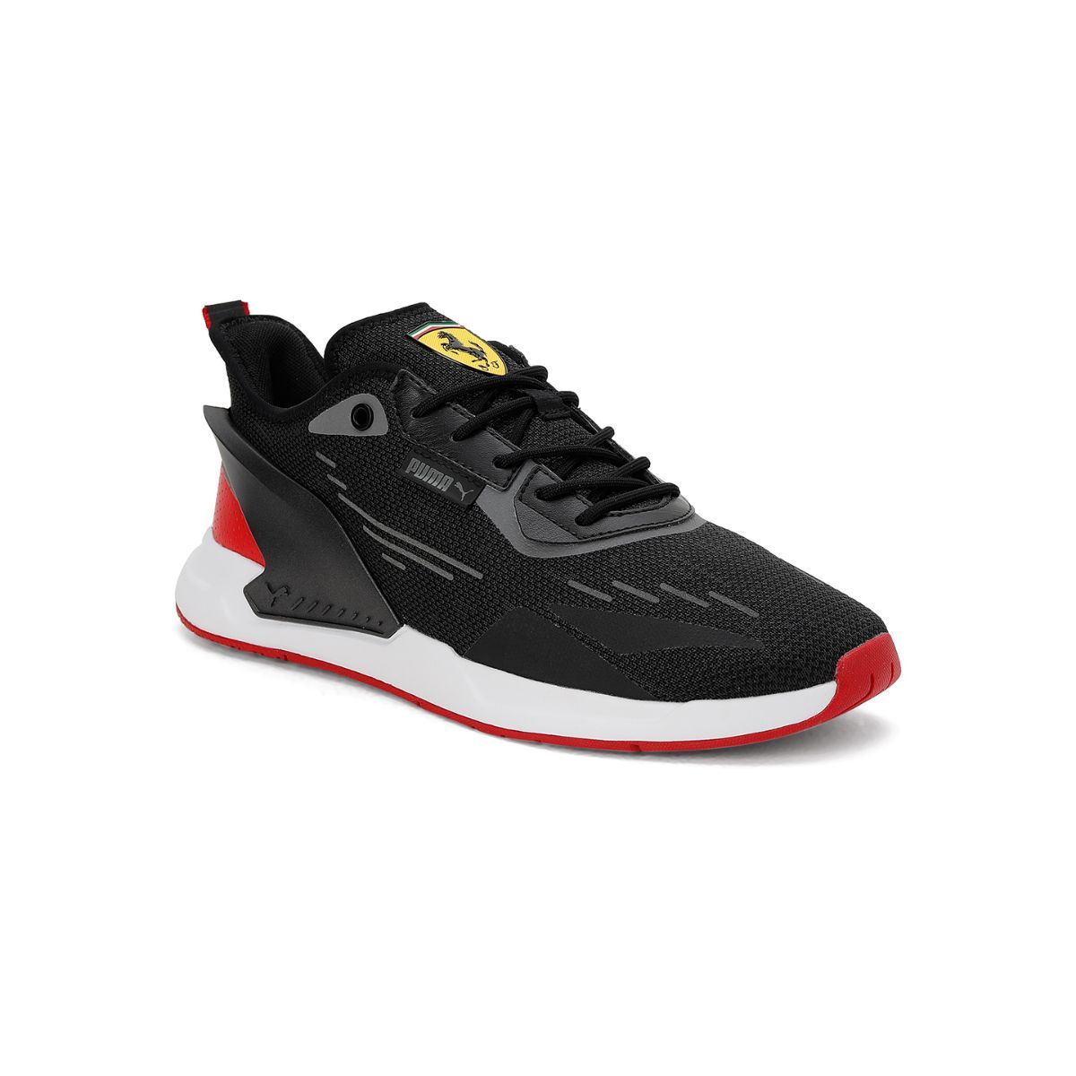 Puma rbr evo hot sale cat 2