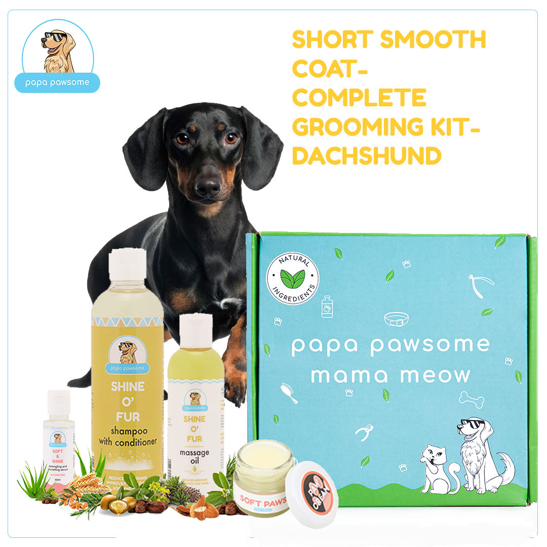 Papa Pawsome Short-smooth Coat - Dachshund - Complete Grooming Kit