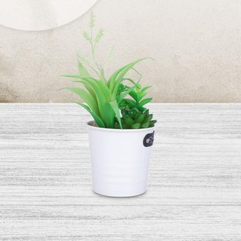 product-image-lens