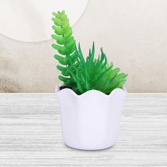 product-image-lens