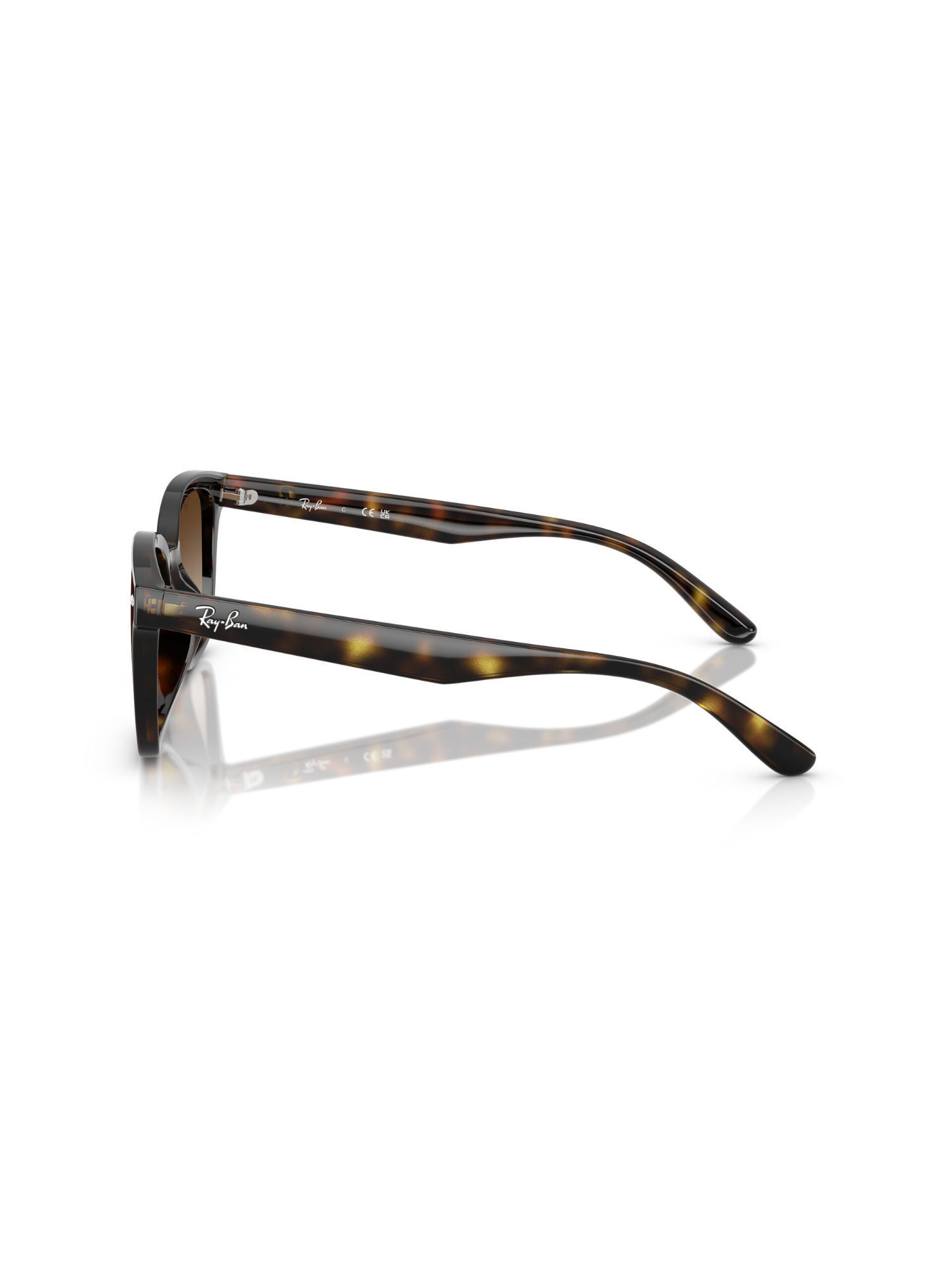 Buy Ray-Ban Unisex Gradient Brown Lens Rectangle Sunglasses