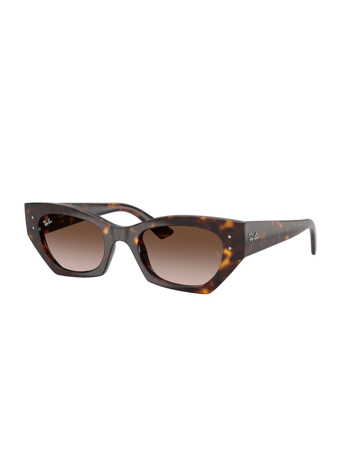 Ray-Ban Unisex Gradient Brown Lens Irregular Sunglasses (0RB443013591349) (49)