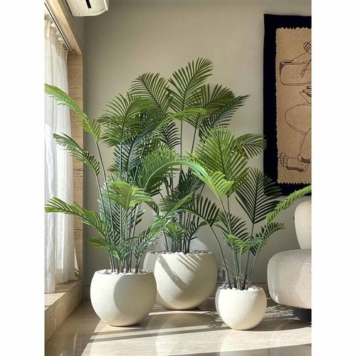 best bonsai tree indoor Bonsai Trees Indoor Bonsai Plants