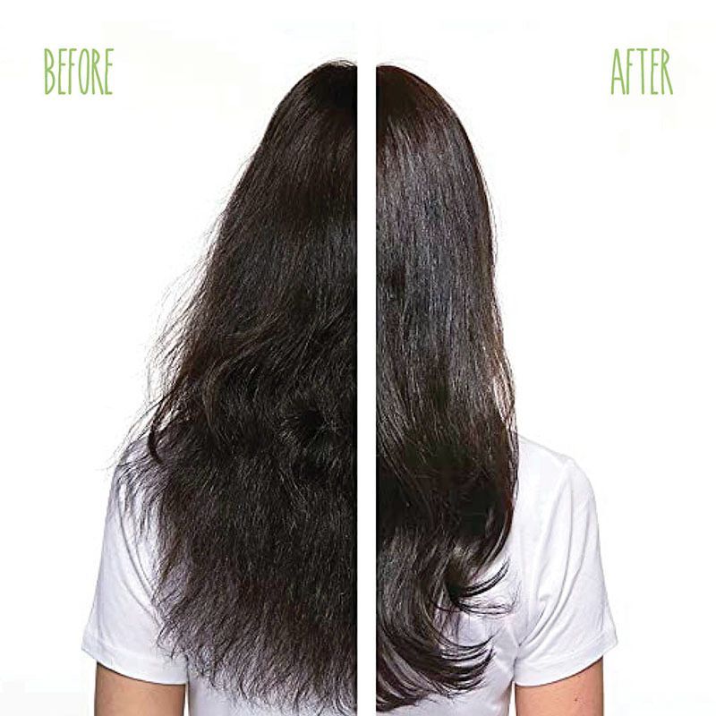 shampoo and conditioner shampoo biolage shampoo for cat ✱【Buy 1 Free 1】AZLA  Ginger Hair Shampoo Conditioner Anti Hair Loss fast hair growth  Anti-dandruff❣ | Lazada PH
