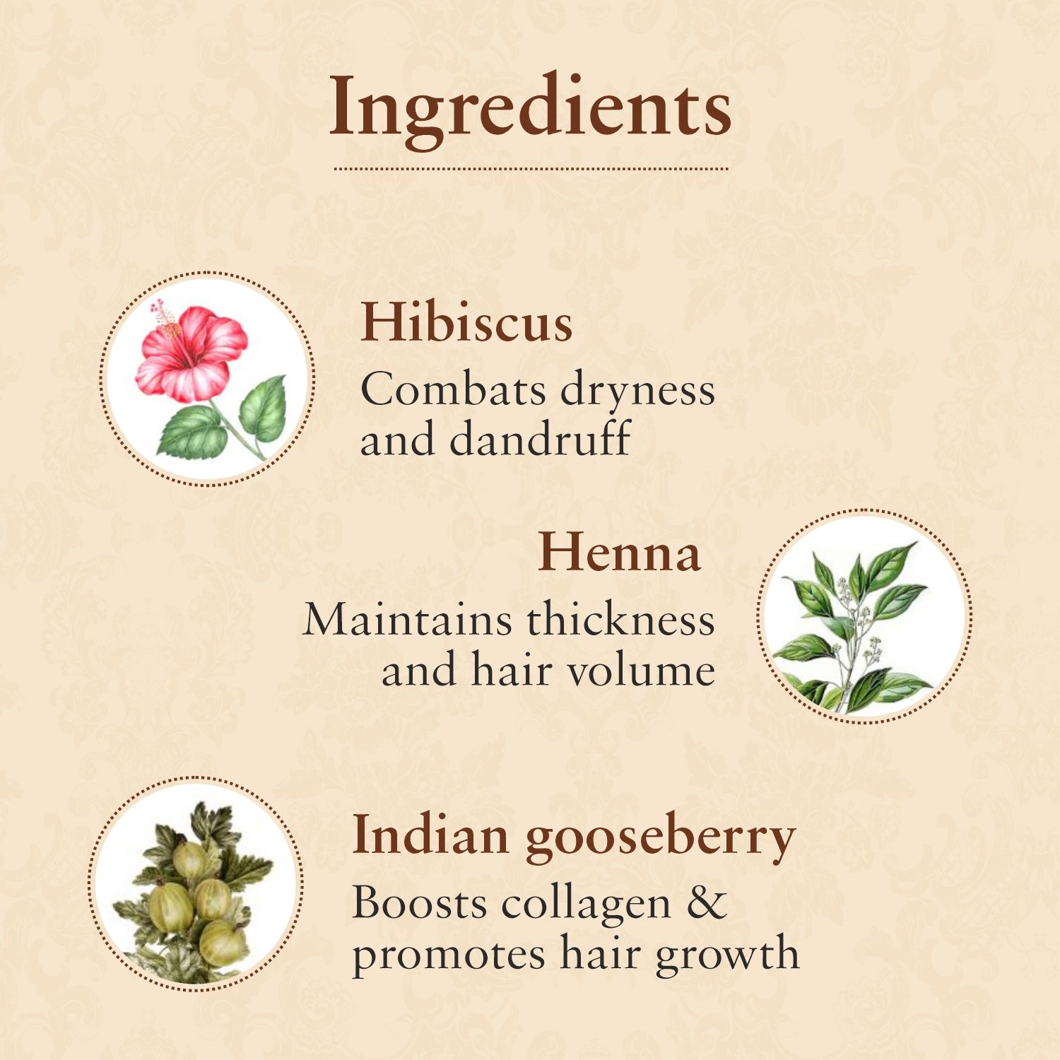 Buy Just Herbs Ayurvedic Javakusum Anti-Dandruff & Hair Growth Hair Oil ...