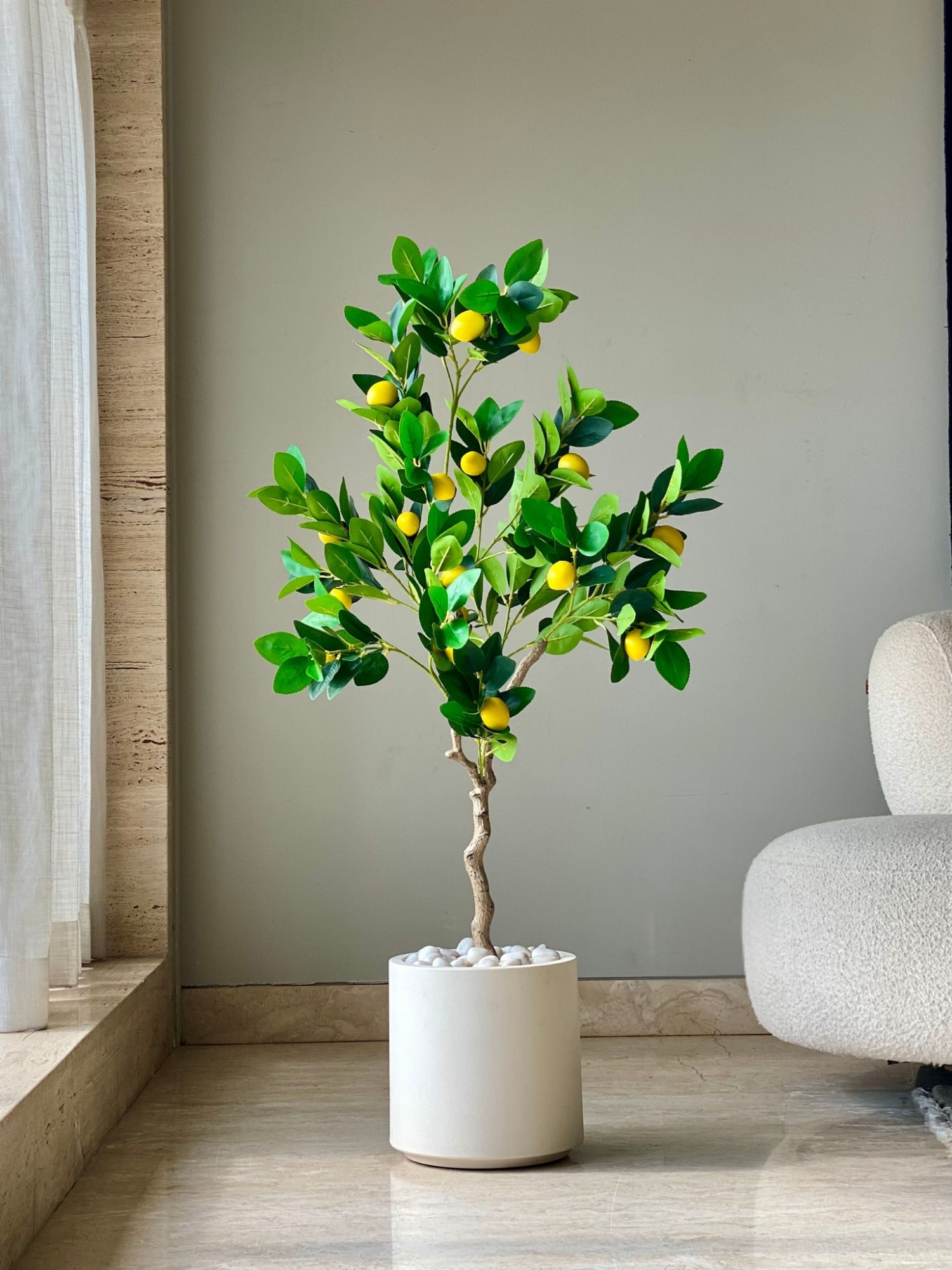 product image1