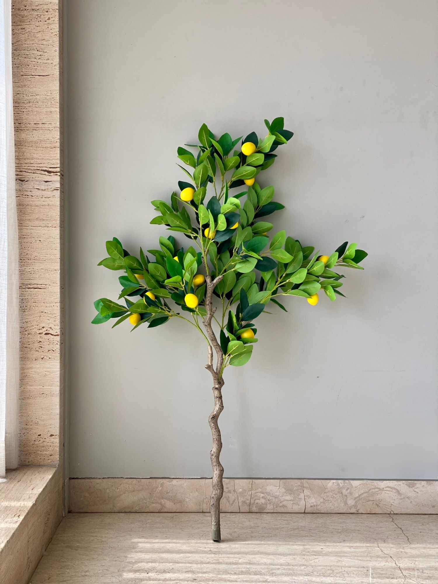 product image5