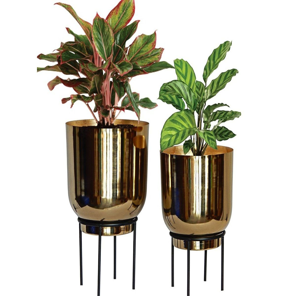 Ecofynd Eva Gold Metal Plant Pot With Stand (Set Of 2): Buy Ecofynd Eva ...