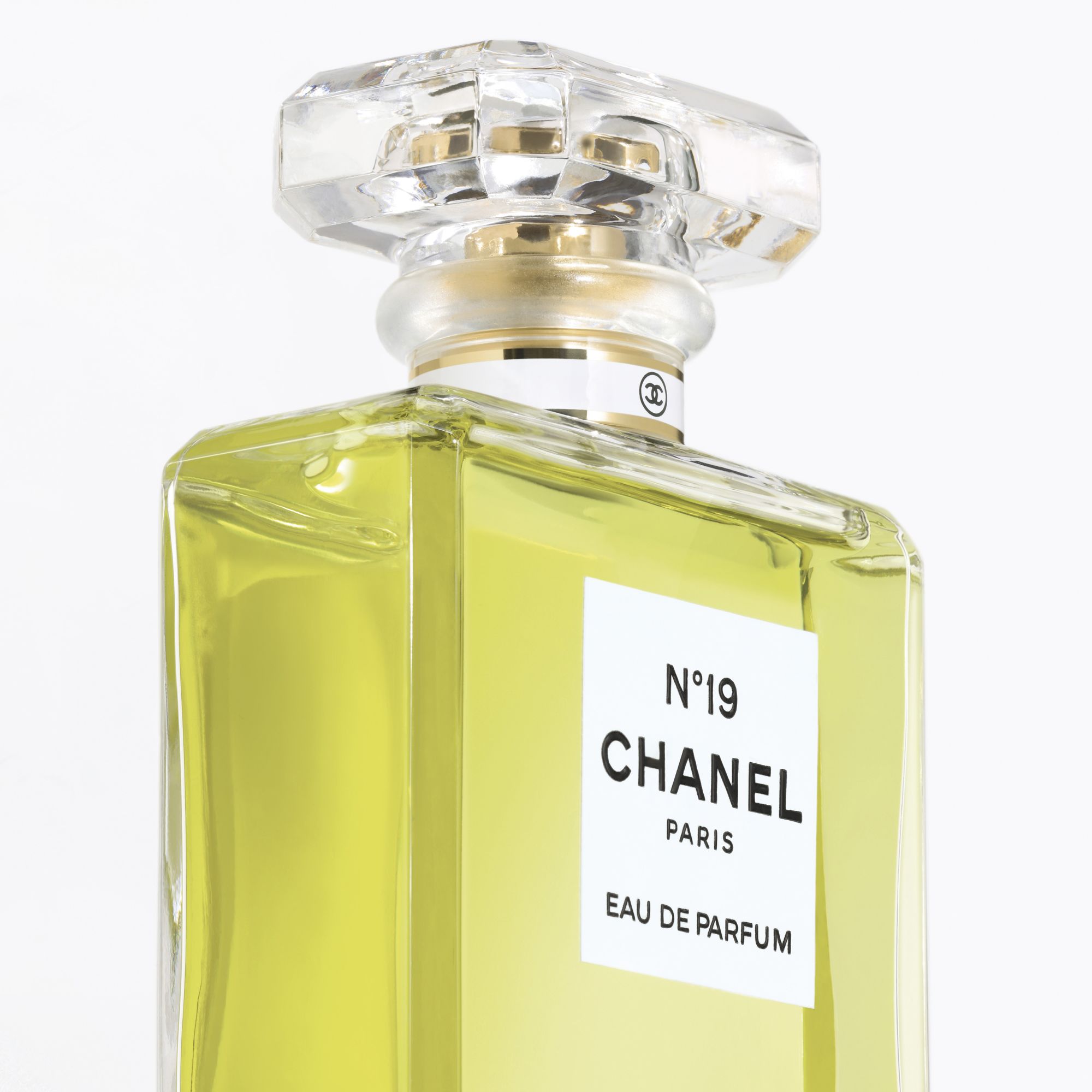 CHANEL N°19 100ml×2 50ml×2 N°19 EAU DE PARFUM SPRAY - 100 ml | CHANEL