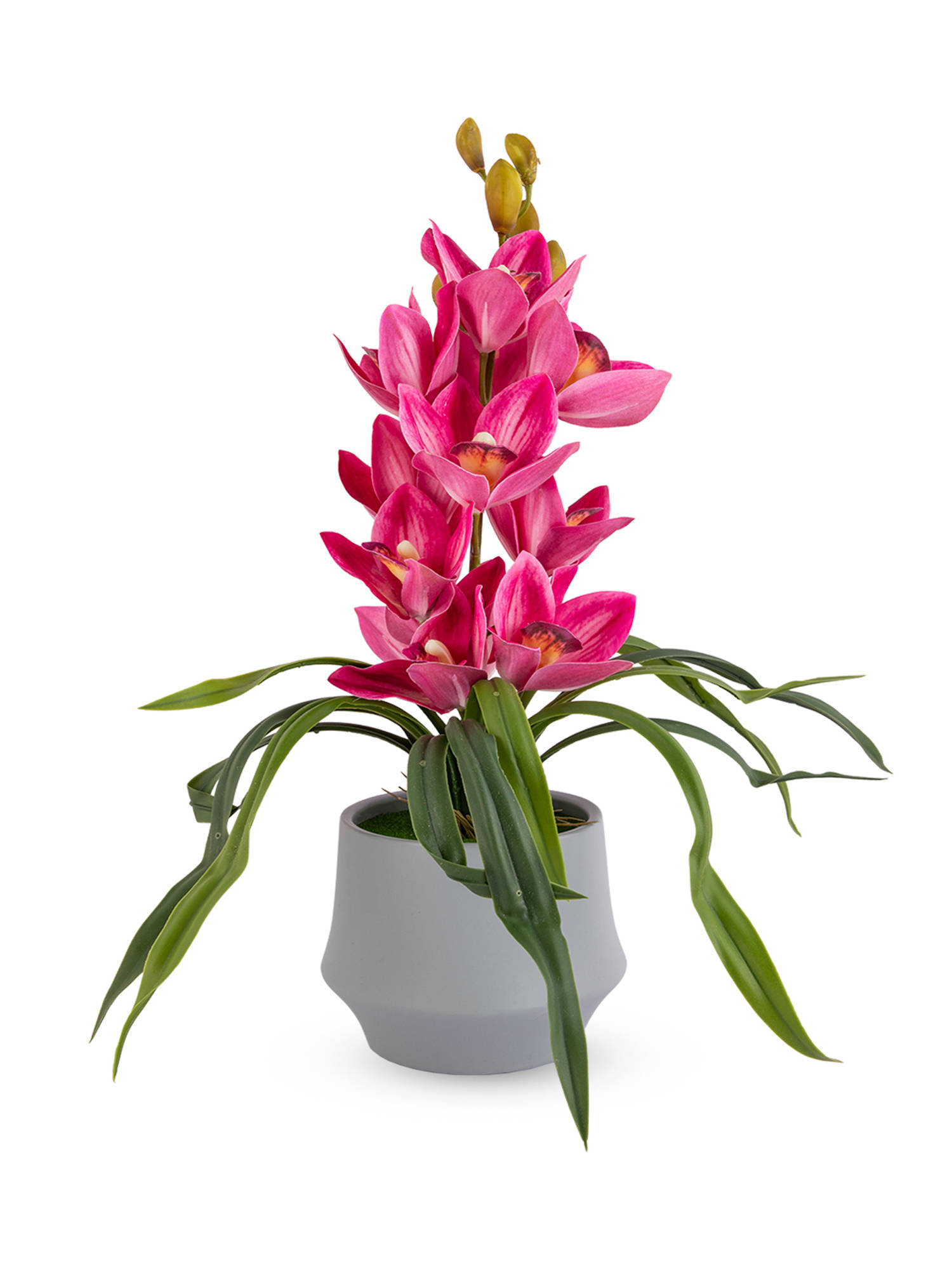 product image2