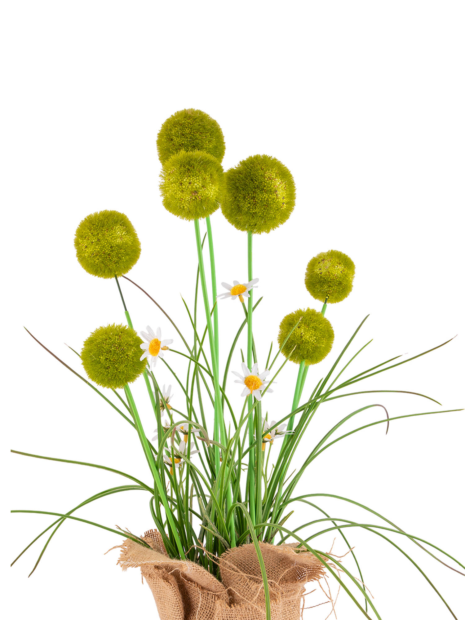 product image5